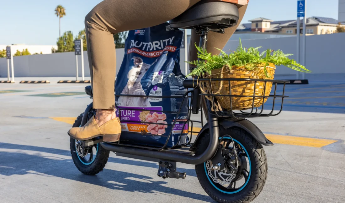Essential Electric Scooter Accessories for New Owners