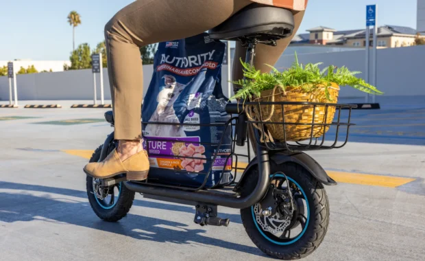 Essential Electric Scooter Accessories for New Owners